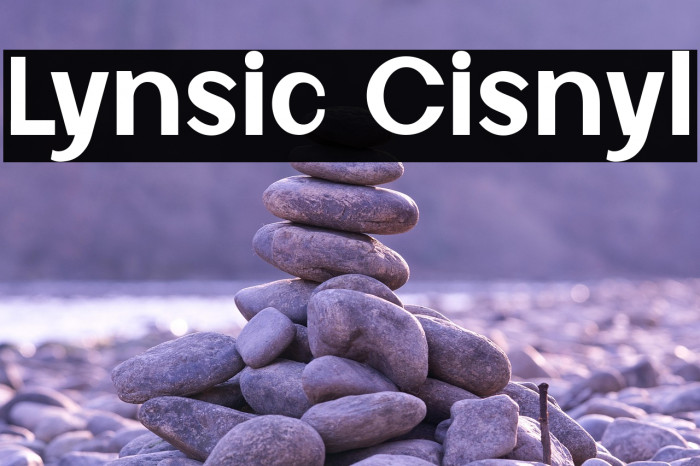 Lynsic Cisnyl Example 1