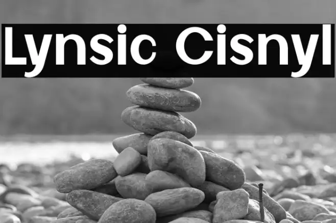 Lynsic Cisnyl Example 1