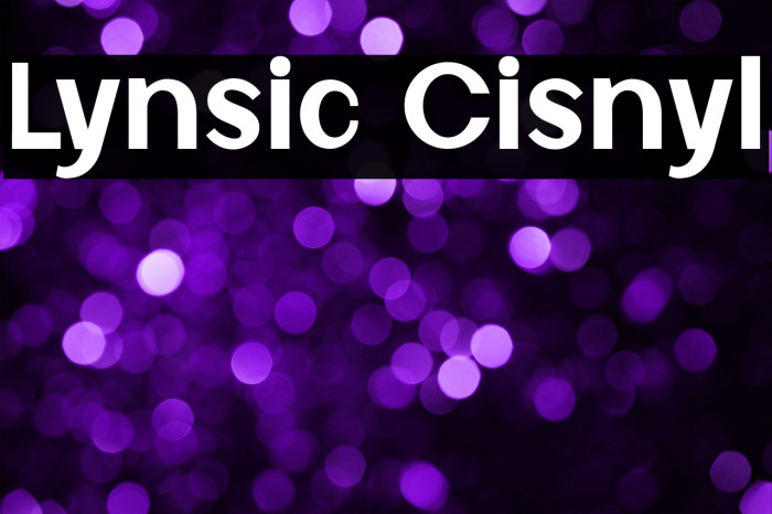 Lynsic Cisnyl Example 2