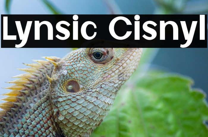 Lynsic Cisnyl Example 3