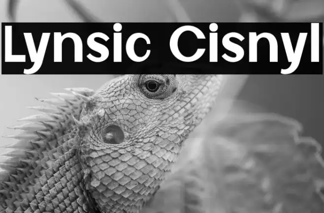 Lynsic Cisnyl Example 3