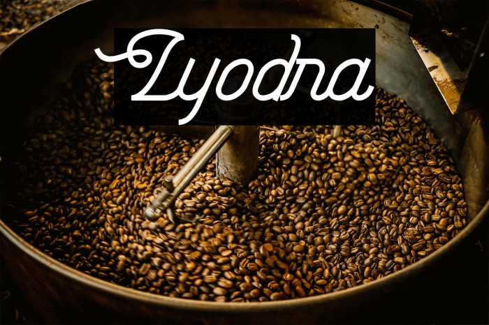Lyodra Example 3