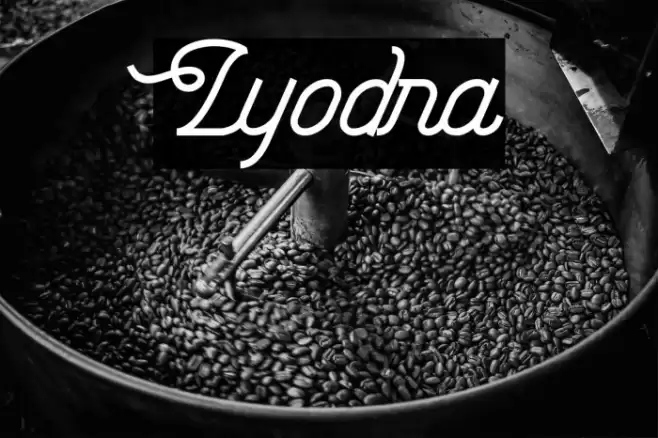 Lyodra Font examples
