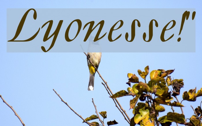 Lyonesse!` Caratteri examples