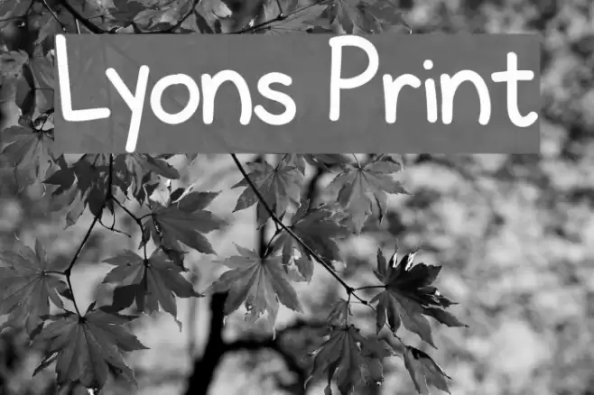 Lyons Print Font examples