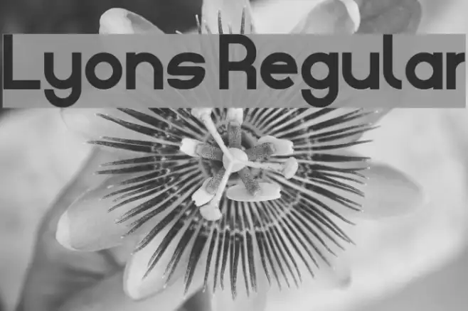 Lyons Regular Example 1