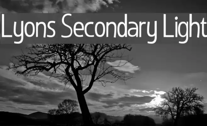 Lyons Secondary Light Font examples