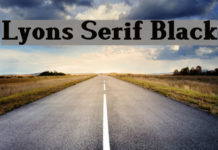 Lyons Serif Black Font examples