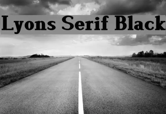 Lyons Serif Black Example 2