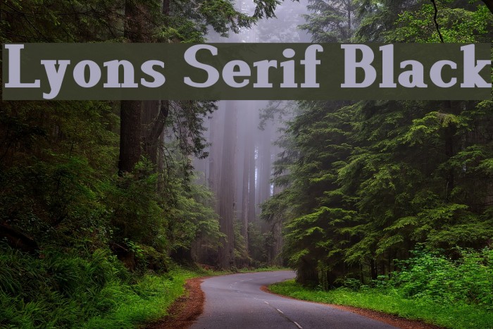 Lyons Serif Black Font examples