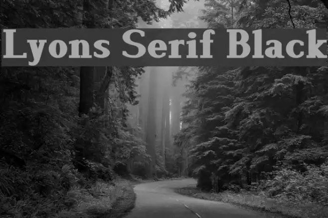 Lyons Serif Black Example 3