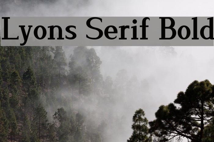 Lyons Serif Bold Font examples