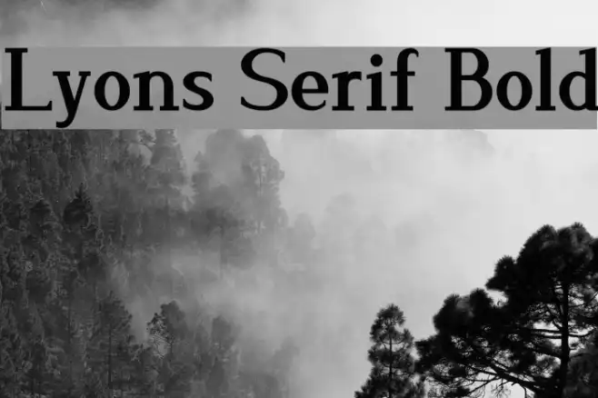 Lyons Serif Bold Example 1