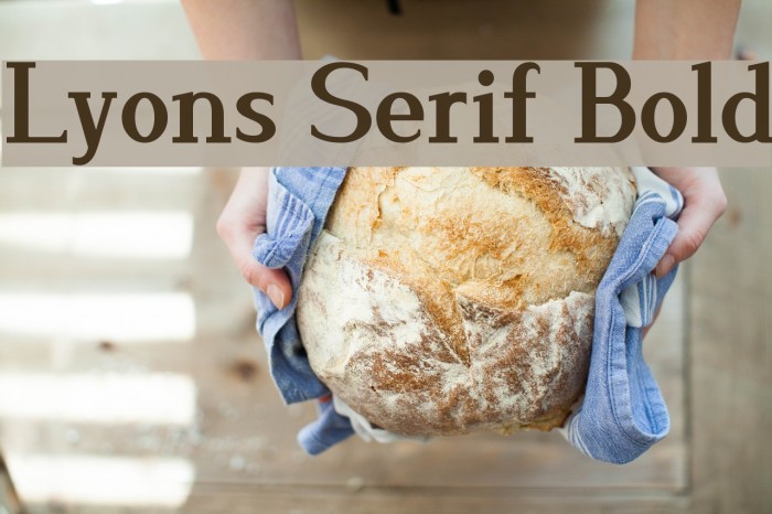 Lyons Serif Bold Font examples