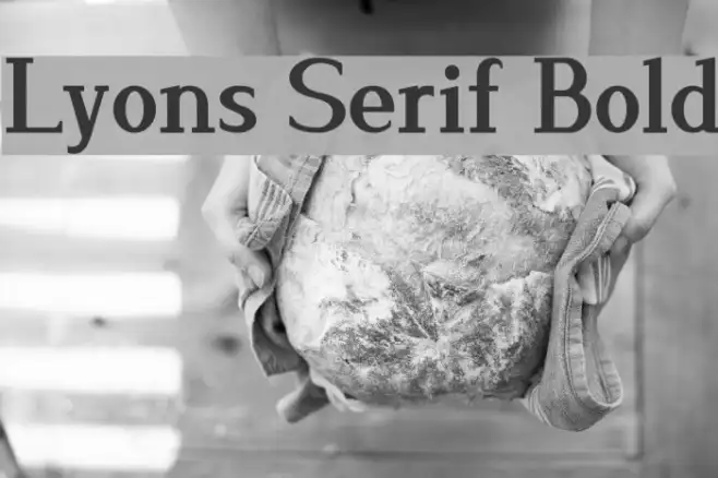 Lyons Serif Bold Example 2