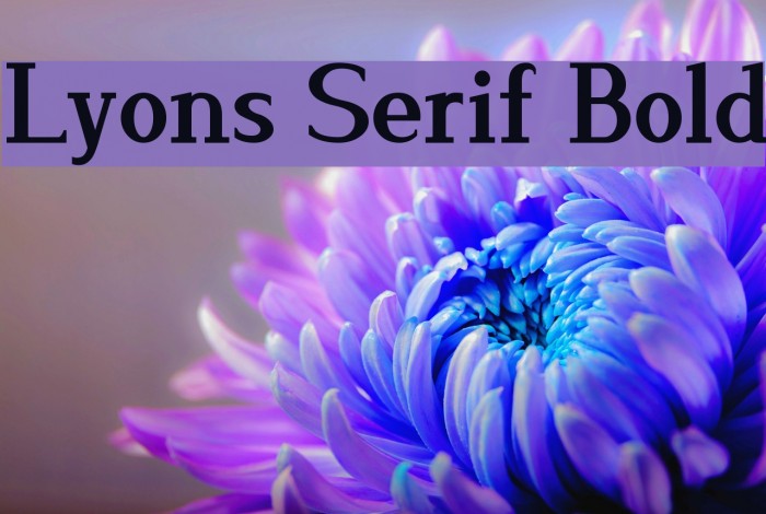 Lyons Serif Bold Font examples