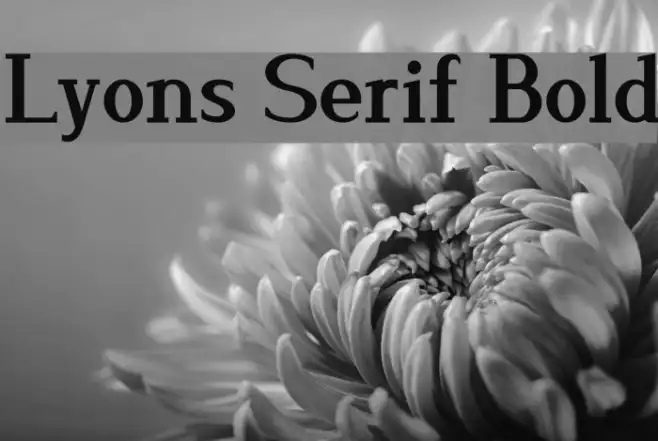 Lyons Serif Bold Example 3