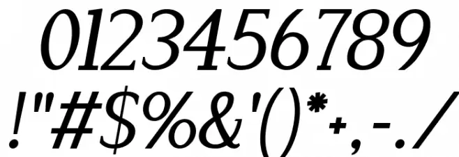 Lyons Serif Italic Font OTHER CHARS