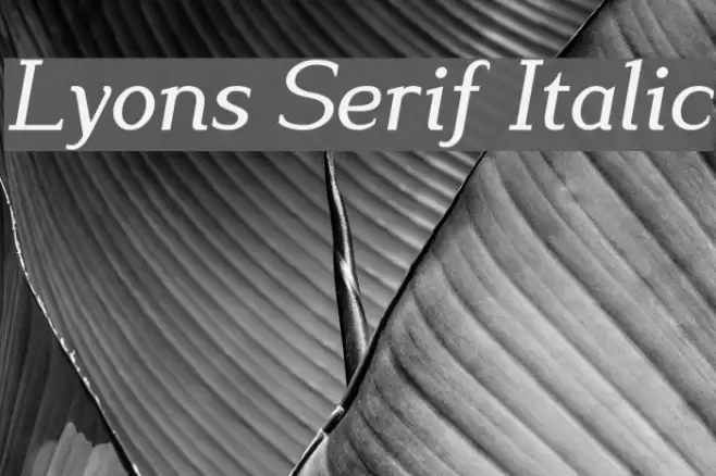Lyons Serif Italic Font examples