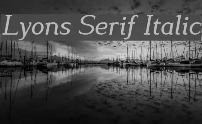 Lyons Serif Italic Font examples