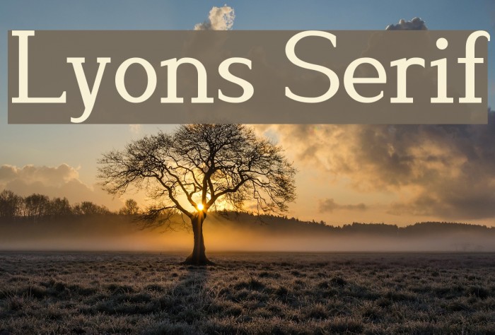 Lyons Serif Font examples