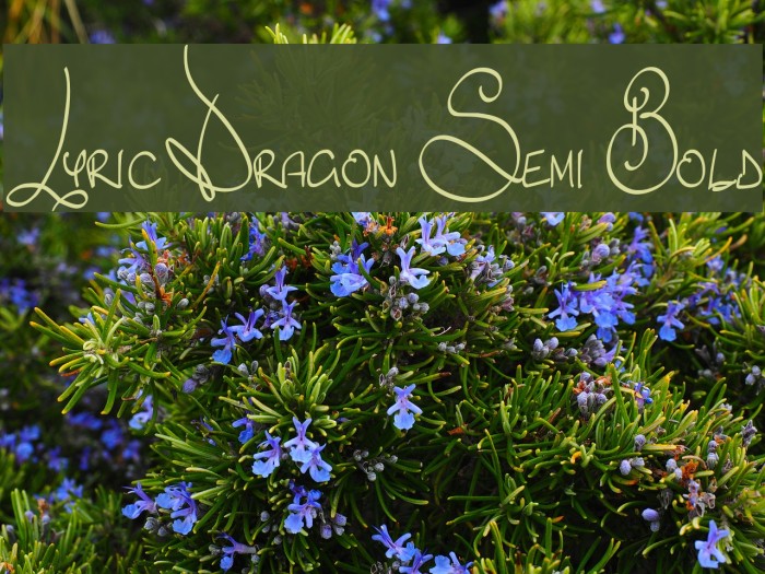 Lyric Dragon Semi Bold Font examples