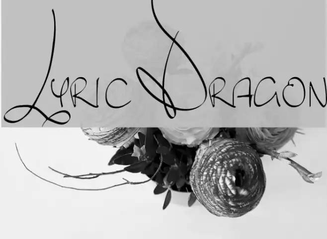 Lyric Dragon Example 1