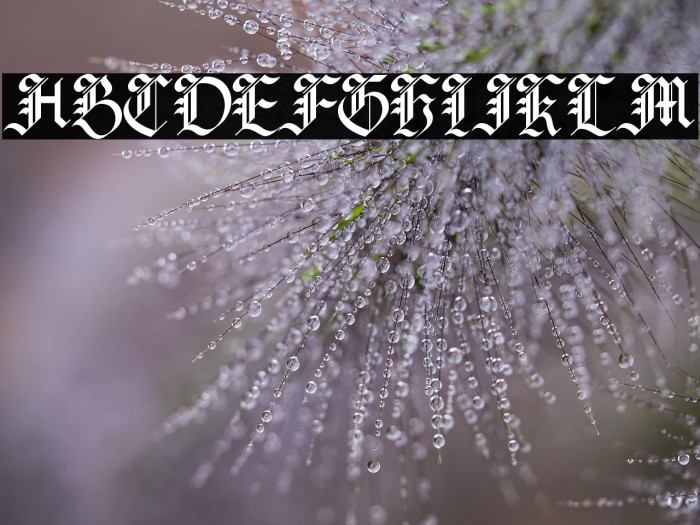 Lyric Poetry Example 3