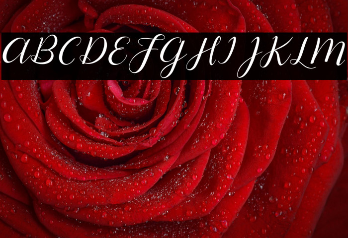 Lysandra Demo Regular Example 1