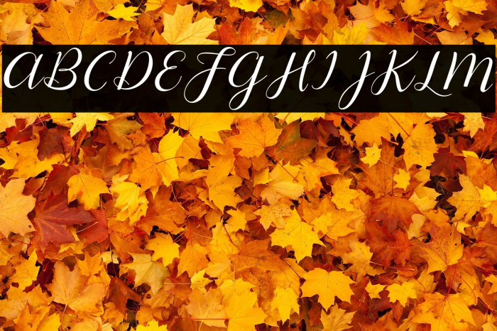 Lysandra Demo Regular Example 2