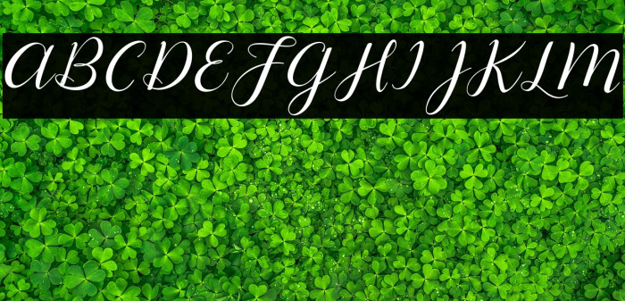 Lysandra Demo Regular Example 3