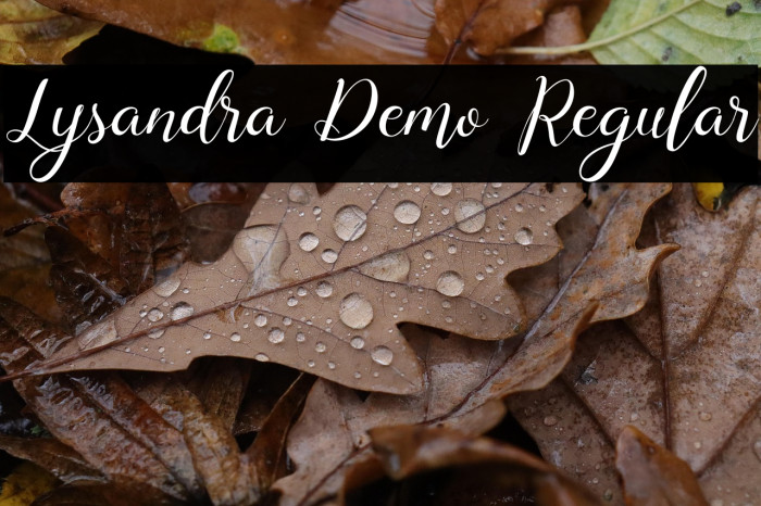 Lysandra Demo Regular Example 1