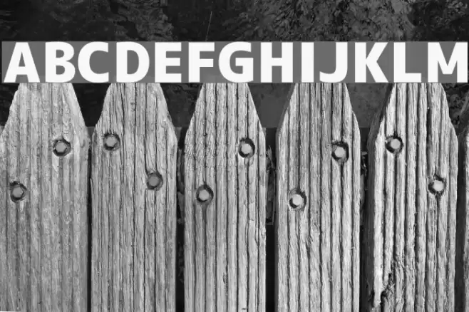 M+ 1c black Font examples