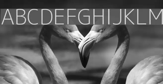 M+ 1c light フォント examples