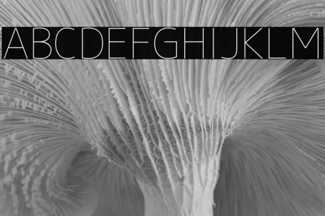 M+ 1c thin Font examples