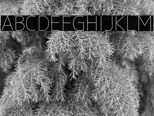 M+ 1c thin Font examples