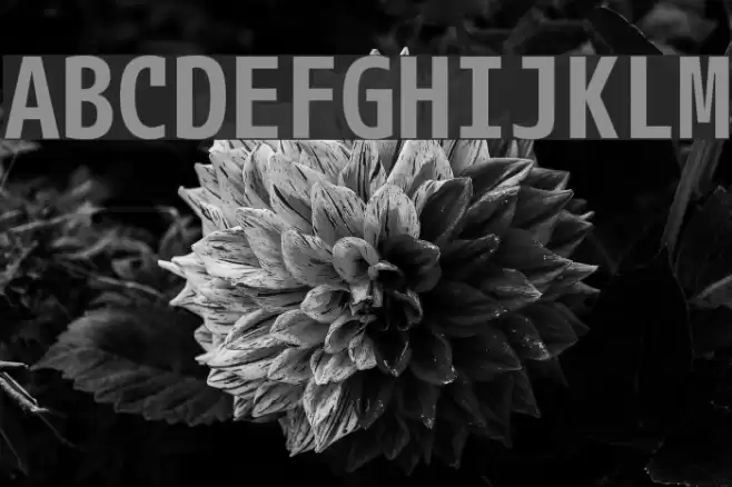 M+ 1mn bold Font examples