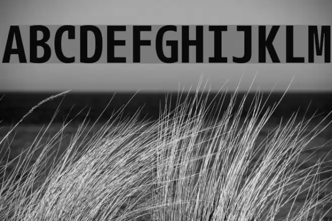 M+ 1mn bold Font examples