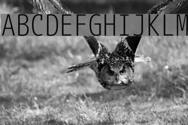 M+ 1mn light Font examples