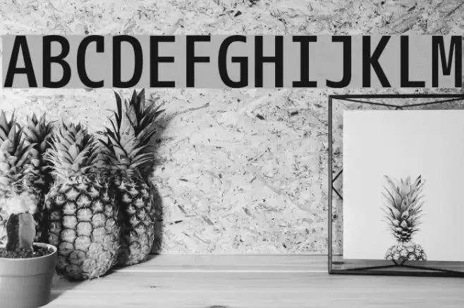 M+ 1mn medium Font examples