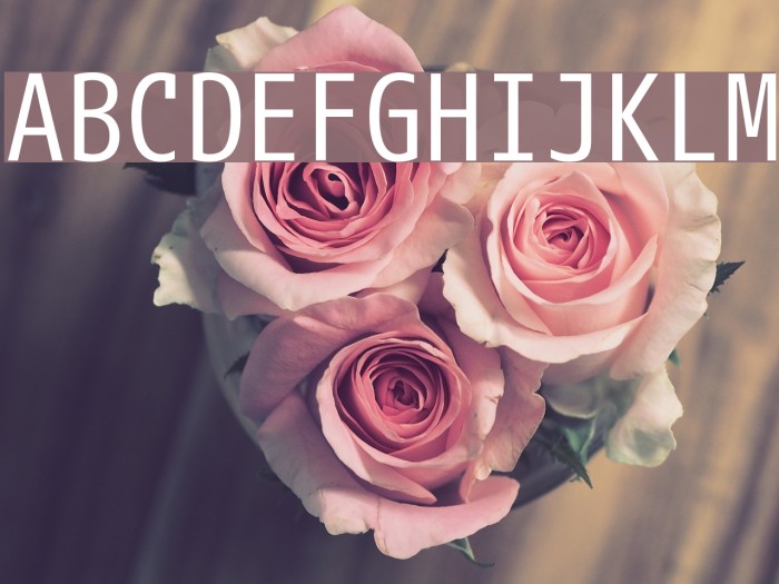 M+ 1mn regular Schriftart examples