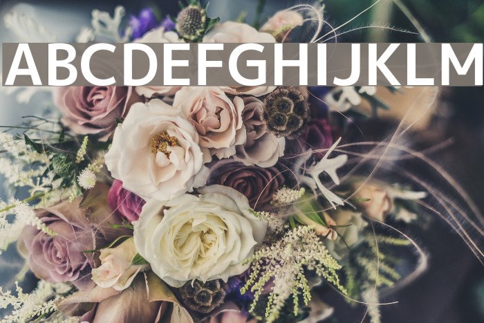 M+ 1p bold Font examples