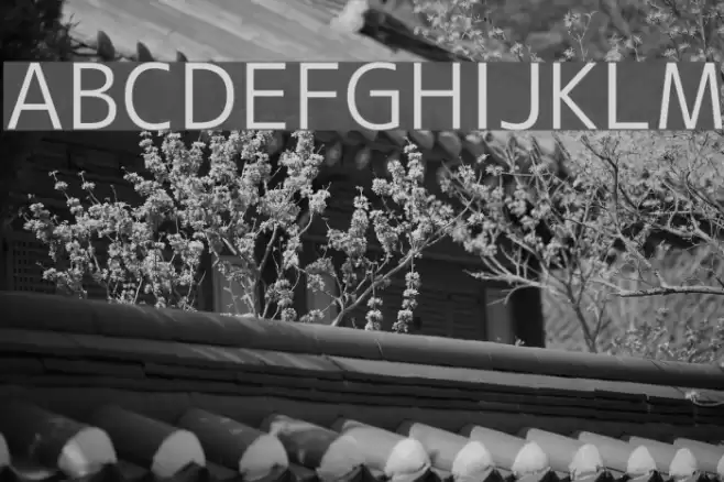 M+ 2c regular Font examples