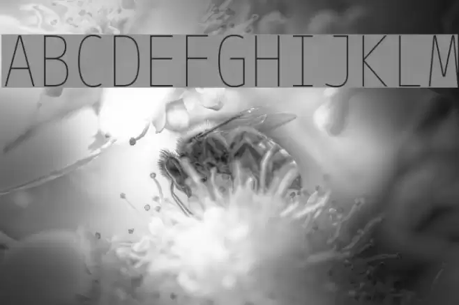 M+ 2m thin Schriftart examples