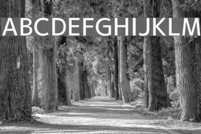 M+ 2p medium Font examples