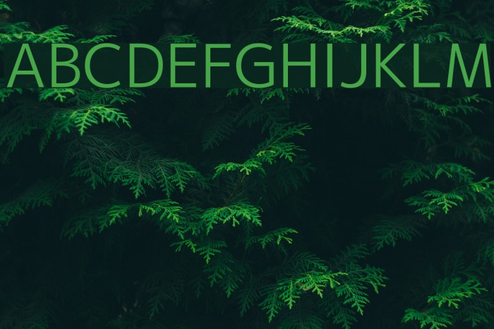 M+ 2p regular Font examples