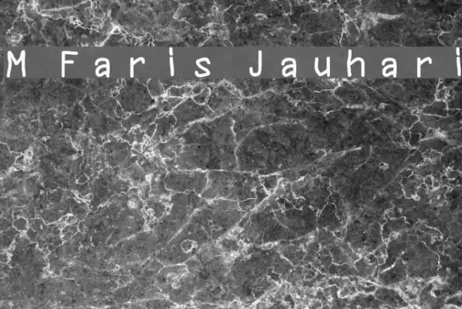 M Faris Jauhari Polices examples