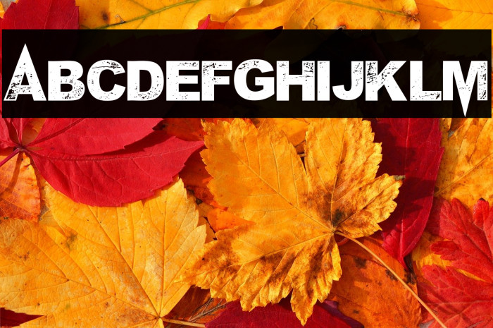 M Ponderosa Example 2