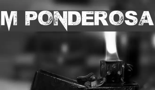 M Ponderosa Font examples