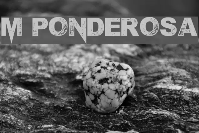 M Ponderosa Font examples